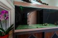 Apartment Mandekic 1