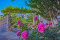 Apartment Miletic mali 2+1
