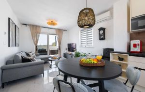Apartment Grey