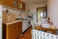 Apartment Tereza