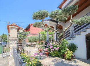 Apartment Pjerina 1