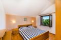 Apartment Andelko 1