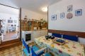 Villa Olive Tree