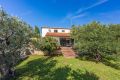 Villa Olive Tree