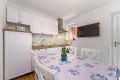 Apartment Evelin