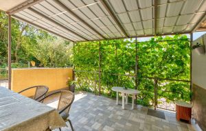 Apartment Palatino