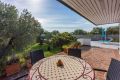 Villa Olive Tree