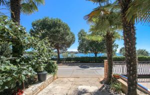Apartment Alba