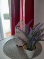 Apartment Palaziol 1