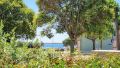 Apartment Antonio