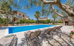 Apartment Paradiso