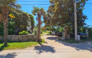 Apartment Davor 1