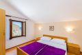 Apartment Andelko 3