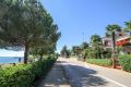 Apartment Alba