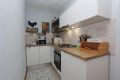 Apartment Nikola